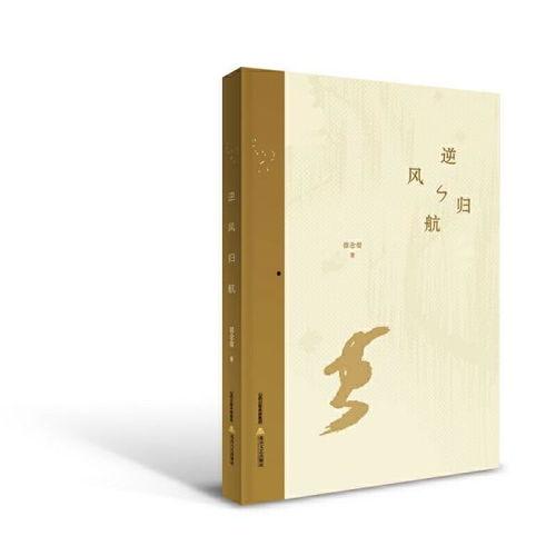 逆风归航,勇闯困境，重拾航向的励志篇章