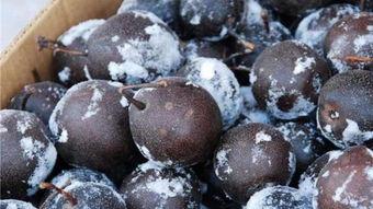 娱乐吃瓜酱小冻梨